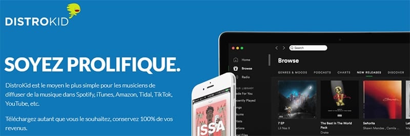 distrokid distribuer diffuser vendre