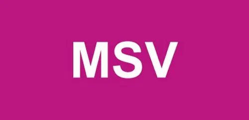 logo-monsitevoyance